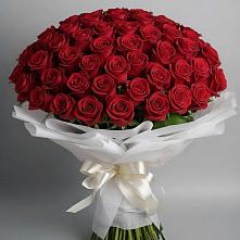 Букет 101 Красная роза Блэк Мэджик в Соколе Магаданской области