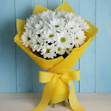 Букет цветов из:  Хризантемы в Соколе Магаданской области
