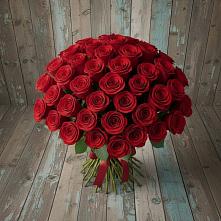 Букет 55 Красных роз Фридом #REPLACE_PRED# Соколе Магаданской области