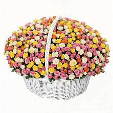 Премиум букет из: Розы в Соколе Магаданской области