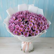 Букет цветов из:  Хризантемы в Соколе Магаданской области