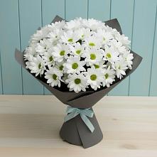 Букет цветов из:  Хризантемы в Соколе Магаданской области