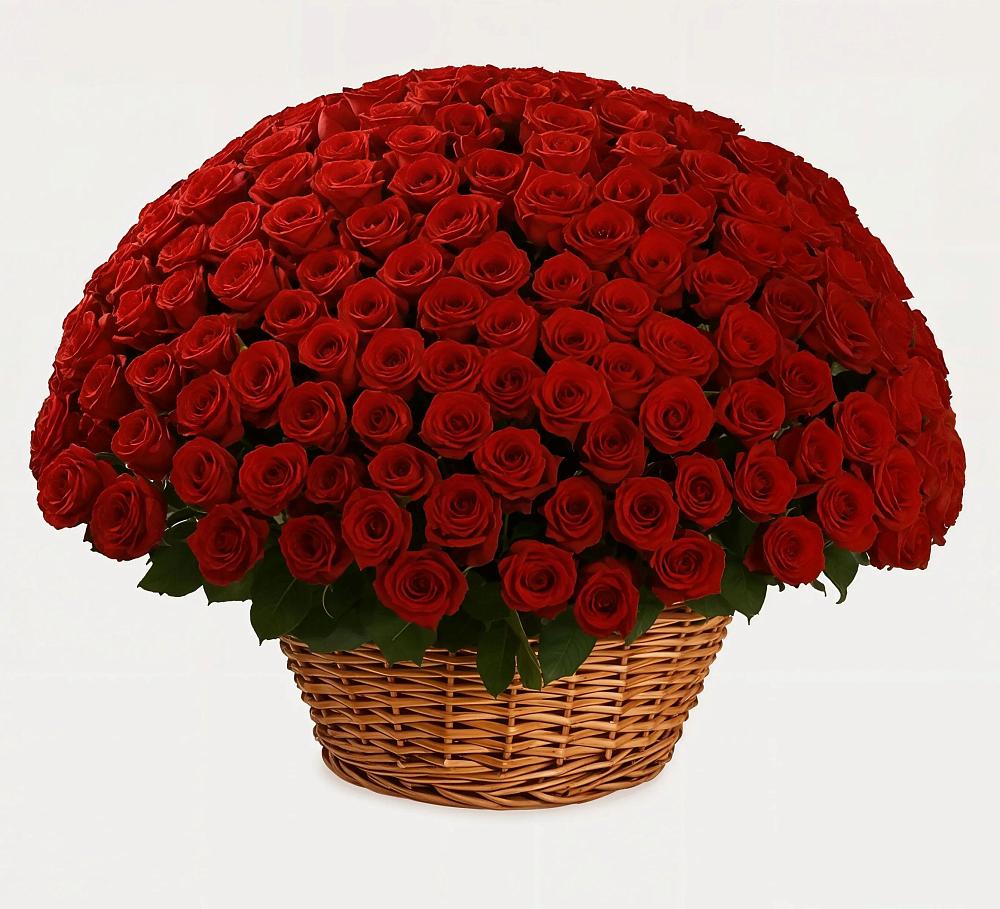 Премиум букет из: Розы в Соколе Магаданской области