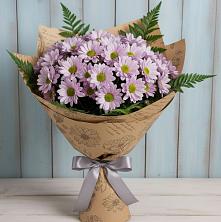 Букет цветов из:  Хризантемы в Соколе Магаданской области