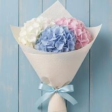Букет цветов из:  Гортензия в Соколе Магаданской области