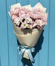 Букет цветов из:  Хризантемы в Соколе Магаданской области