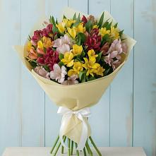 Букет цветов из:  Альстромерии в Соколе Магаданской области