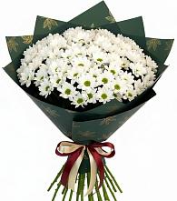 Букет цветов из:  Хризантемы в Соколе Магаданской области