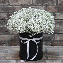 Цветочная композиция из Гипсофила в шляпной коробке в Соколе Магаданской области